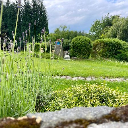 Apartman U Mluvicich Kamenu Stare Krecany Exteriör bild