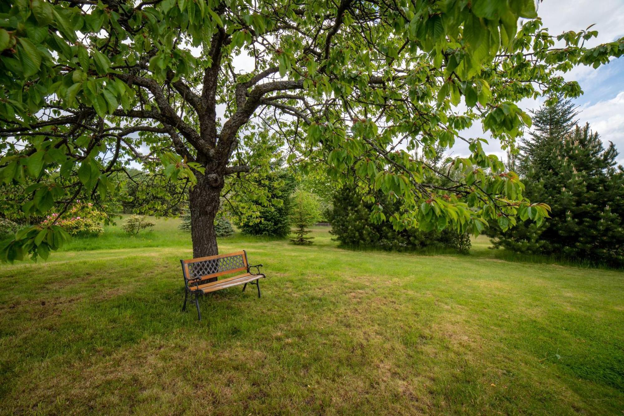 Apartman U Mluvicich Kamenu Stare Krecany Exteriör bild